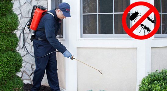 İmranlı Gümüşkurt İlaçlama böcek ilaçlama ve haşere kontrolü — ilaclama-tr.com